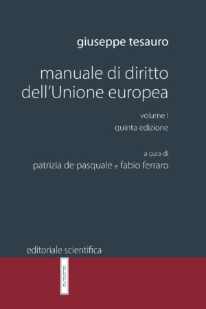 Manuale di diritto dell'Unione europea - volume I