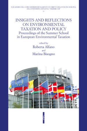 Insights and reflections on environmental taxation and policy