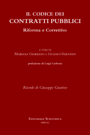Il Codice dei Contratti pubblici