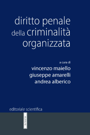 Diritto penale della criminalità organizzata