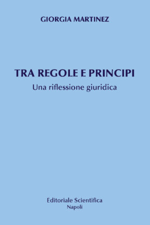 Tra regole e principi