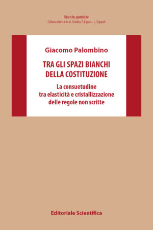 Tra gli spazi bianchi della costituzione 