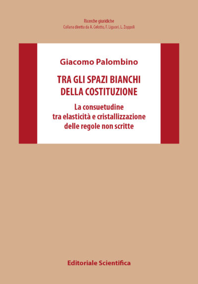 Tra gli spazi bianchi della costituzione 