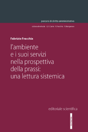 L'ambiente e i suoi servizi nella prospettiva della prassi: una lettura sistemica