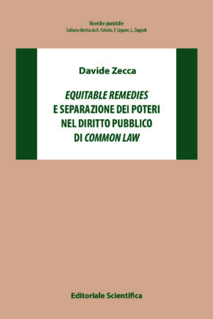 Equitable remedies e separazione dei poteri nel diritto pubblico di common law