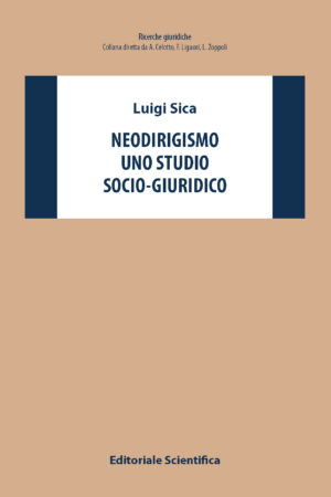 Neodirigismo: uno studio socio-giuridico