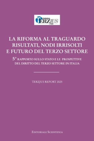 La riforma al traguardo. Risultati, nodi irrisolti e futuro del terzo settore