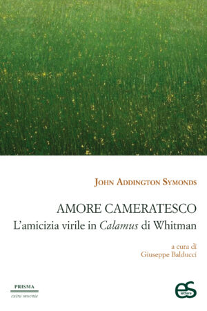 Amore cameratesco