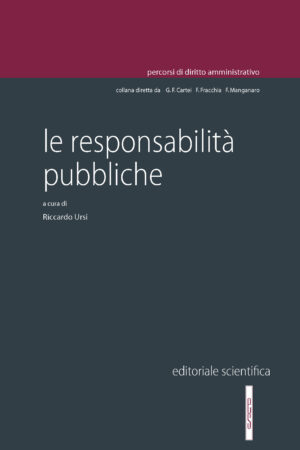 Le responsabilità pubbliche