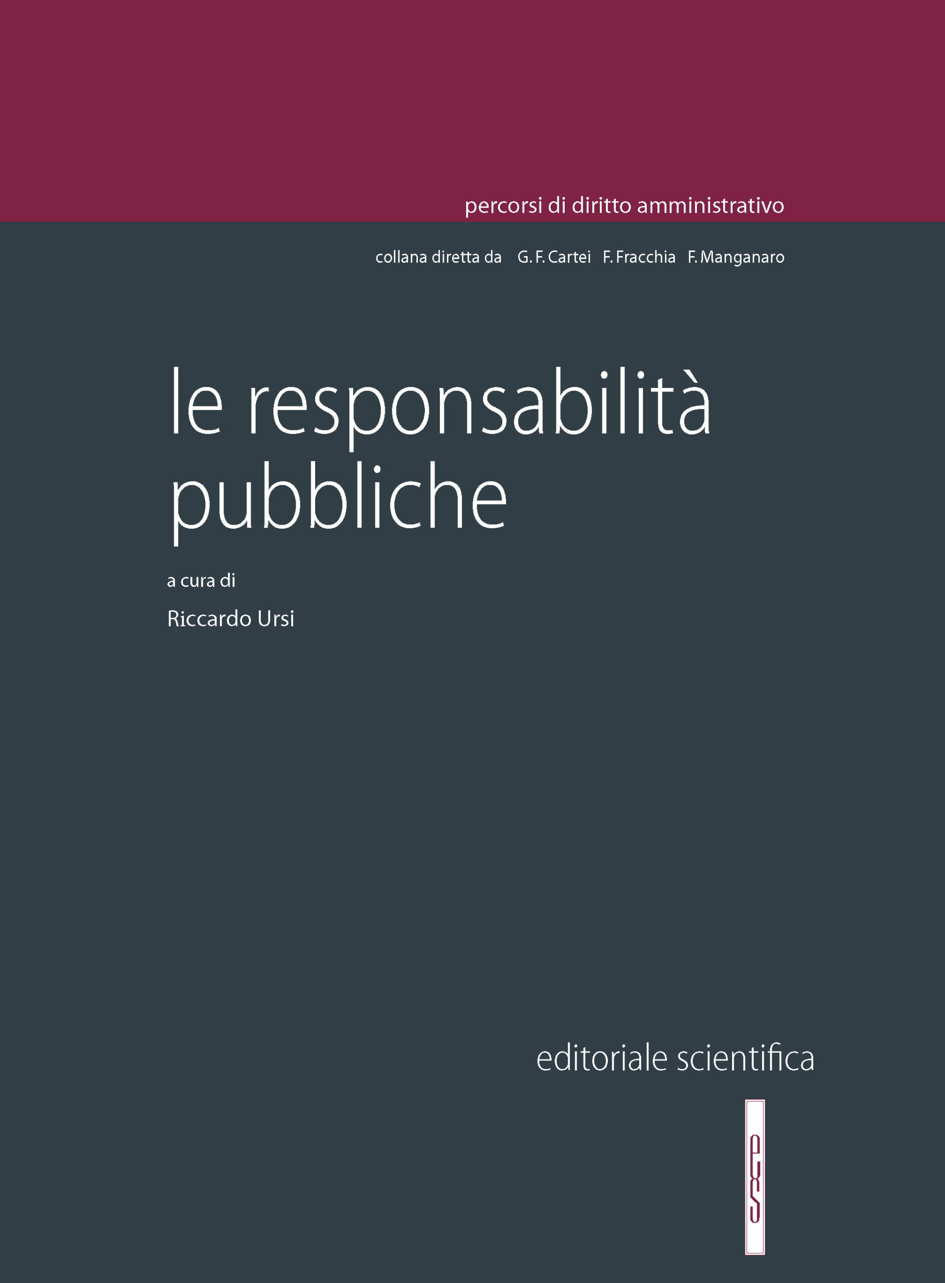 Le responsabilità pubbliche