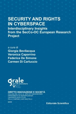Security and rights in cyberspace