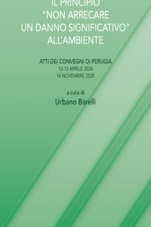 Il principio "non arrecare un danno significativo" all'ambiente